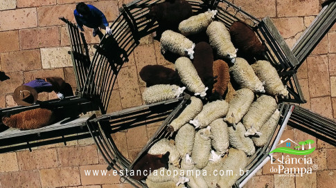 VAI ATE MANGUEIRA OVELHAS.00_00_25_03.Quadro007_93449c1e2c1a397fc3bb0a10fe28bd2b25e244e9.jpg